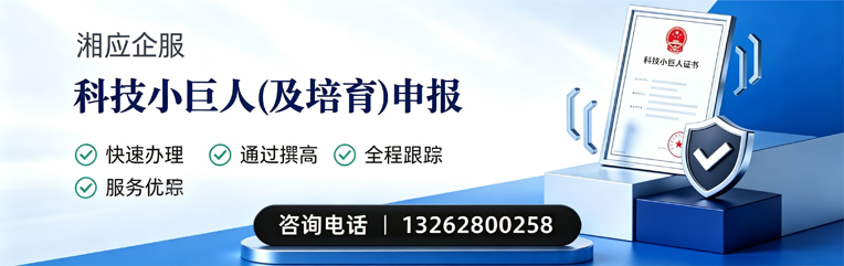 毕节科技小巨人及培育企业申报服务