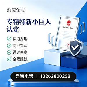 毕节专精特新小巨人申报服务
