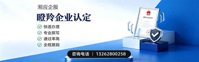 毕节瞪羚企业认定申报服务