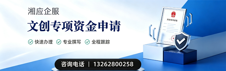 毕节文创专项资金申报服务