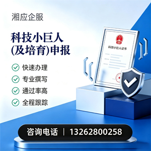 毕节科技小巨人及培育企业申报服务
