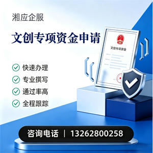 毕节文创专项资金申报服务