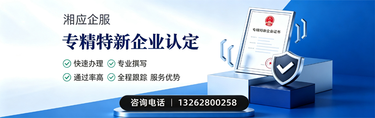 毕节专精特新企业申报服务