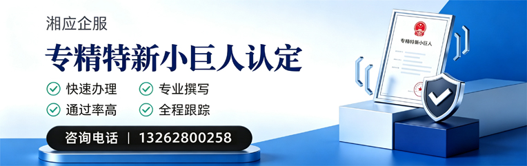 毕节专精特新小巨人申报服务